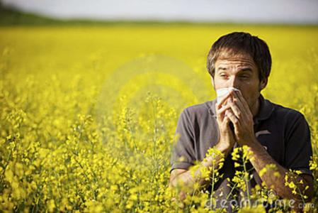 Pollenhelyzet - Nyugat-Magyarországon sötétbordó riasztás érvényes a parlagfû pollenjére